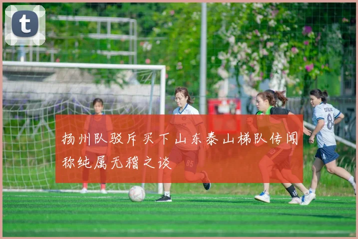 扬州队驳斥买下山东泰山梯队传闻称纯属无稽之谈