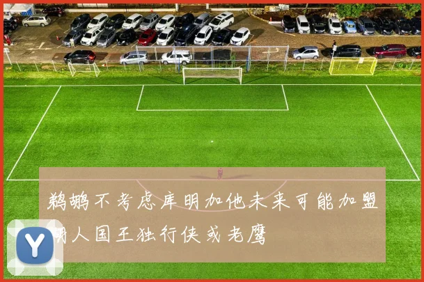 鹈鹕不考虑库明加他未来可能加盟湖人国王独行侠或老鹰